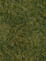 NOCH NOCH 7280 Wildgras-Foliage G,0,H0,TT,N,Z