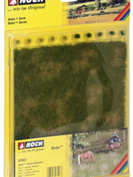 NOCH NOCH 7403 Natur+ “Wiese Sommer” G,0,H0,TT,N,Z