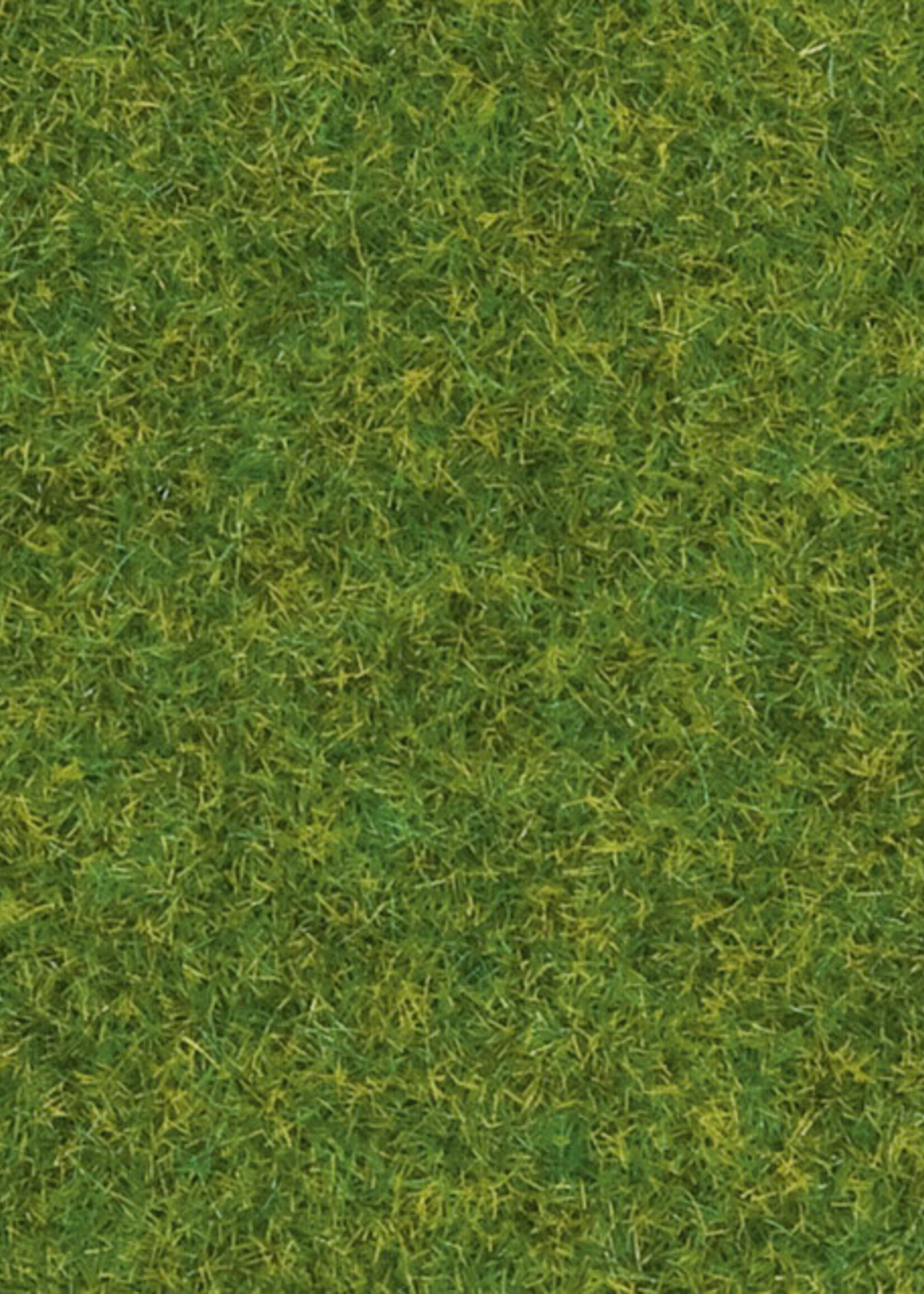 NOCH NOCH 08214 Streugras “Zierrasen” (G,0,H0,H0e,H0m,TT,N,Z)