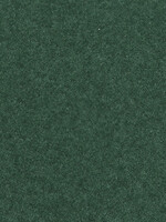 NOCH NOCH 08321 Streugras (G,0,H0,H0e,H0m,TT,N,Z)