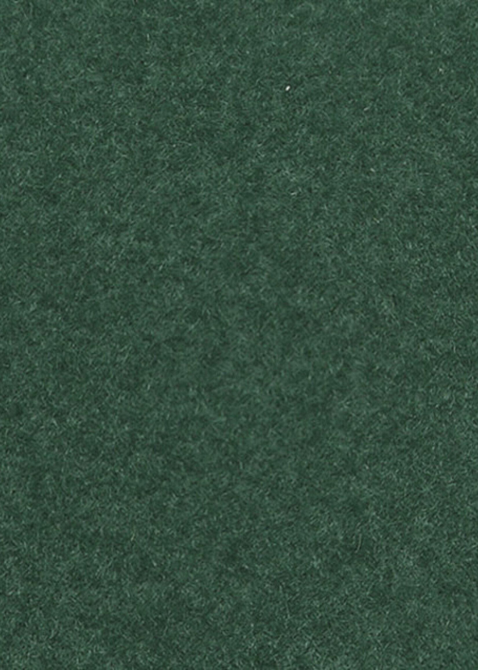 NOCH NOCH 08321 Streugras (G,0,H0,H0e,H0m,TT,N,Z)