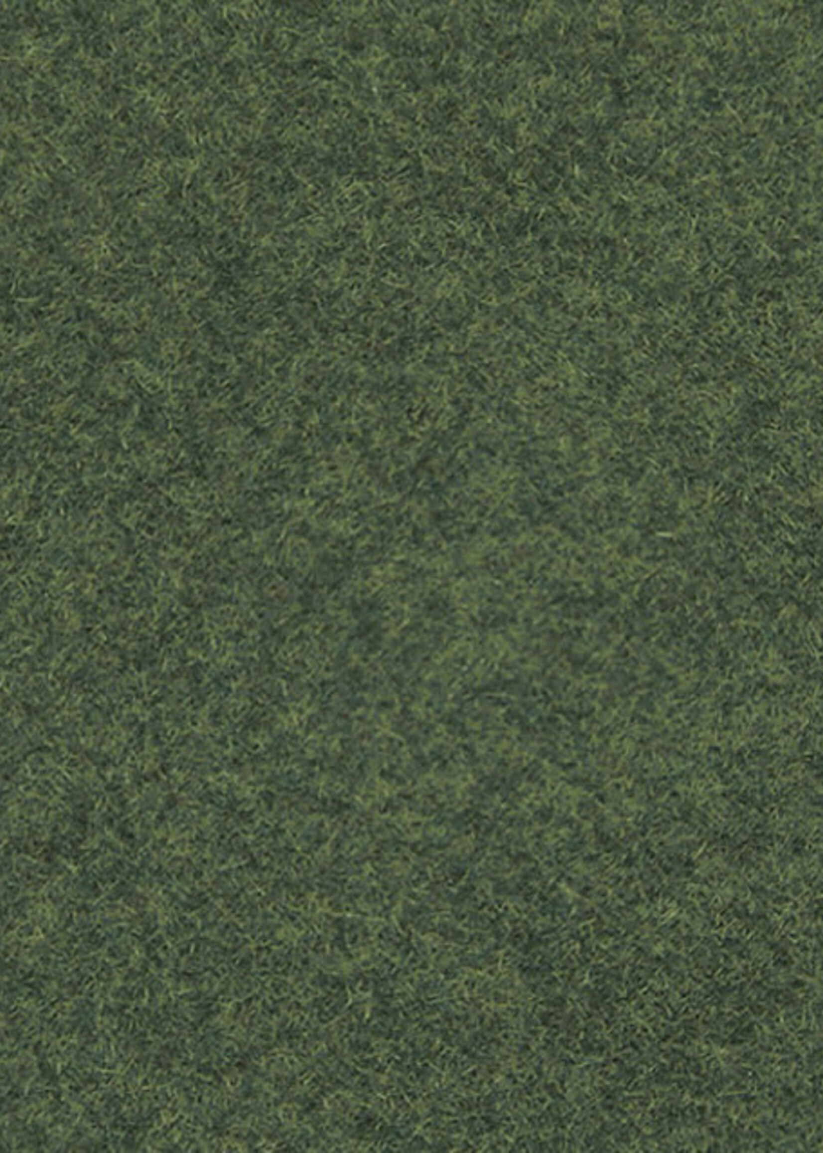 NOCH NOCH 08322 Streugras (G,0,H0,H0e,H0m,TT,N,Z)