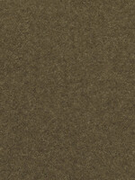 NOCH NOCH 08323 Streugras (G,0,H0,H0e,H0m,TT,N,Z)