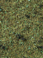 NOCH NOCH 08350 Streugras “Waldboden” (G,0,H0,H0e,H0m,TT,N,Z)