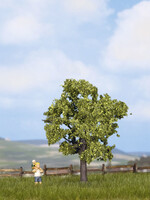 NOCH NOCH 21550 Obstbaum (H0,TT,N)