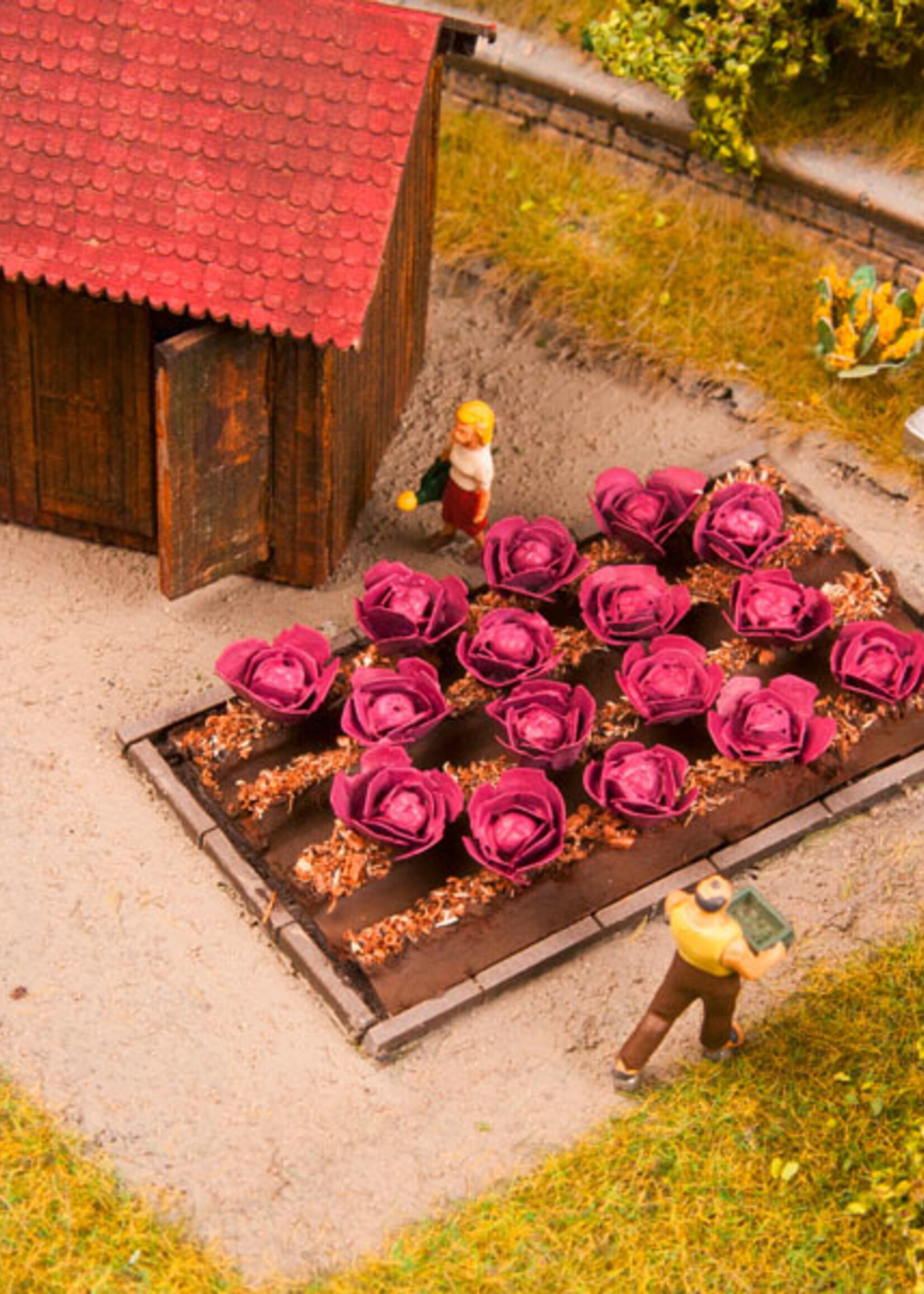 NOCH NOCH 13218 Rotkohl (H0)