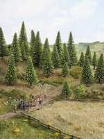 NOCH NOCH 26826 Modellfichten (H0,TT)