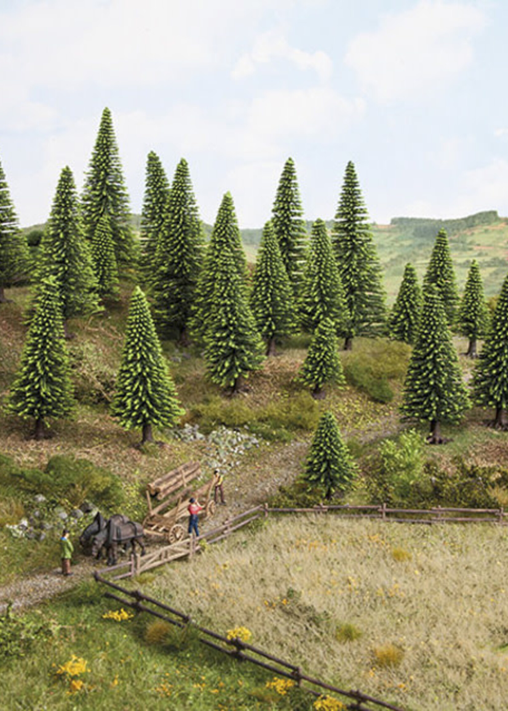 NOCH NOCH 26827 Modellfichten, extra-hoch H0,TT