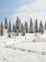 NOCH NOCH 26828 Schneetannen (H0,TT)