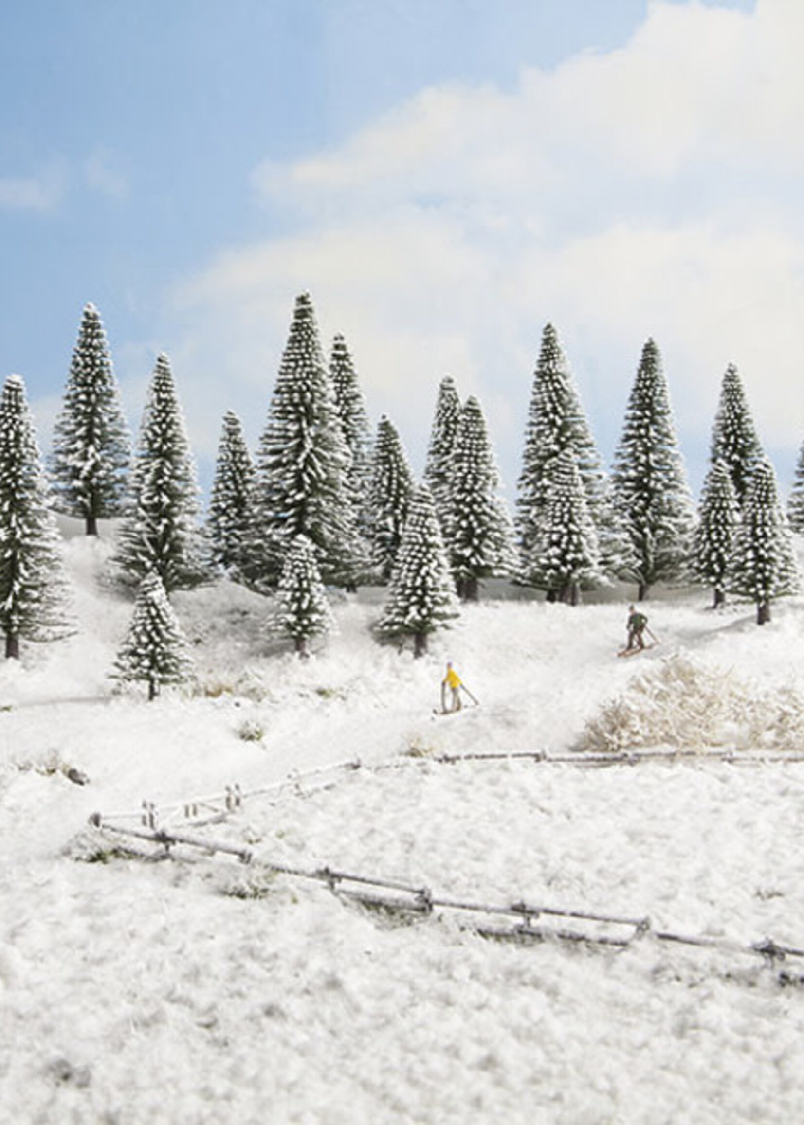 NOCH NOCH 26828 Schneetannen (H0,TT)