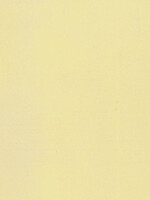 NOCH NOCH 61171 Acrylspray. matt. elfenbein (G,0,H0,H0e,H0m,TT,N,Z)