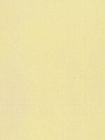 NOCH NOCH 61191 Acrylfarbe. matt. elfenbein (G,0,H0,H0e,H0m,TT,N,Z)