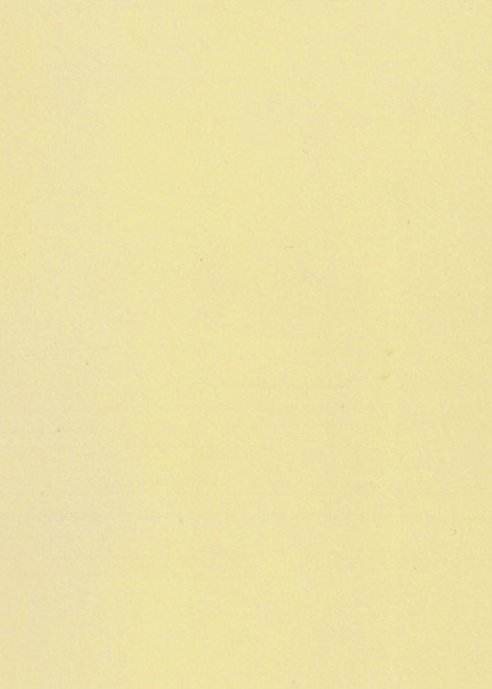 NOCH NOCH 61191 Acrylfarbe. matt. elfenbein (G,0,H0,H0e,H0m,TT,N,Z)