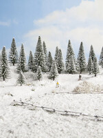 NOCH NOCH 32828 Schneetannen (N,Z)