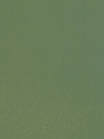 NOCH NOCH 61194 Acrylfarbe. matt. hellgrün (G,0,H0,H0e,H0m,TT,N,Z)