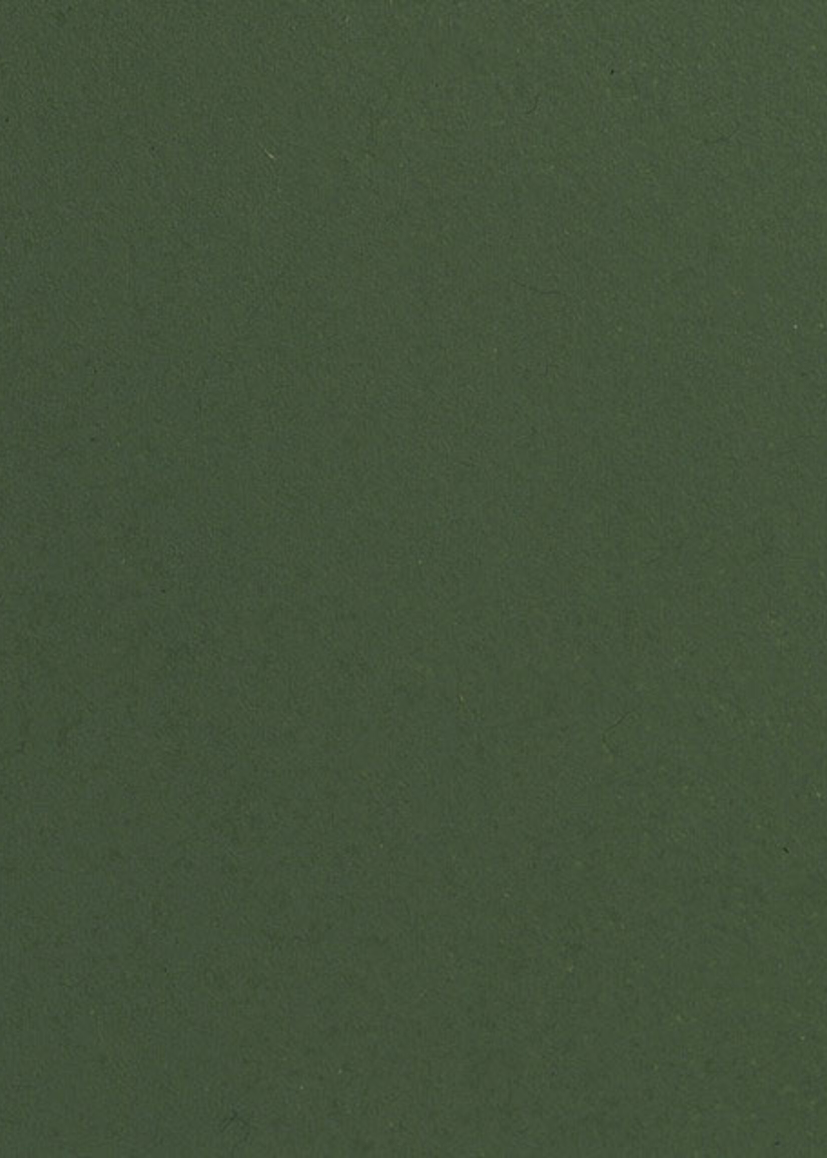 NOCH NOCH 61195 Acrylfarbe. matt. dunkelgrün (G,0,H0,H0e,H0m,TT,N,Z)