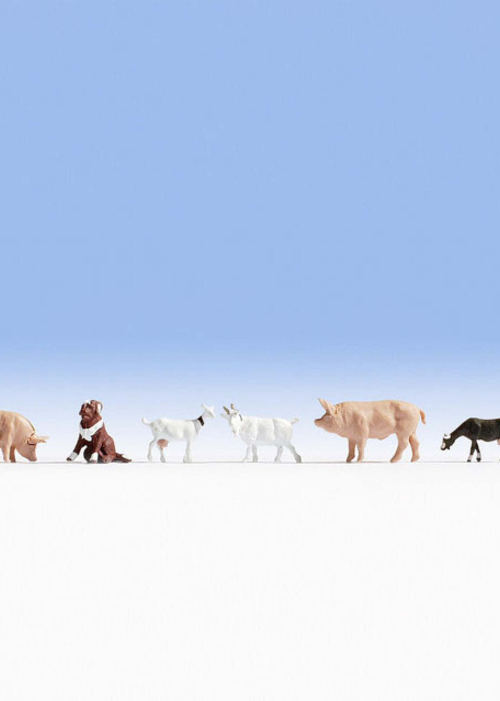NOCH NOCH 36711 Tiere auf dem Bauernhof (N)