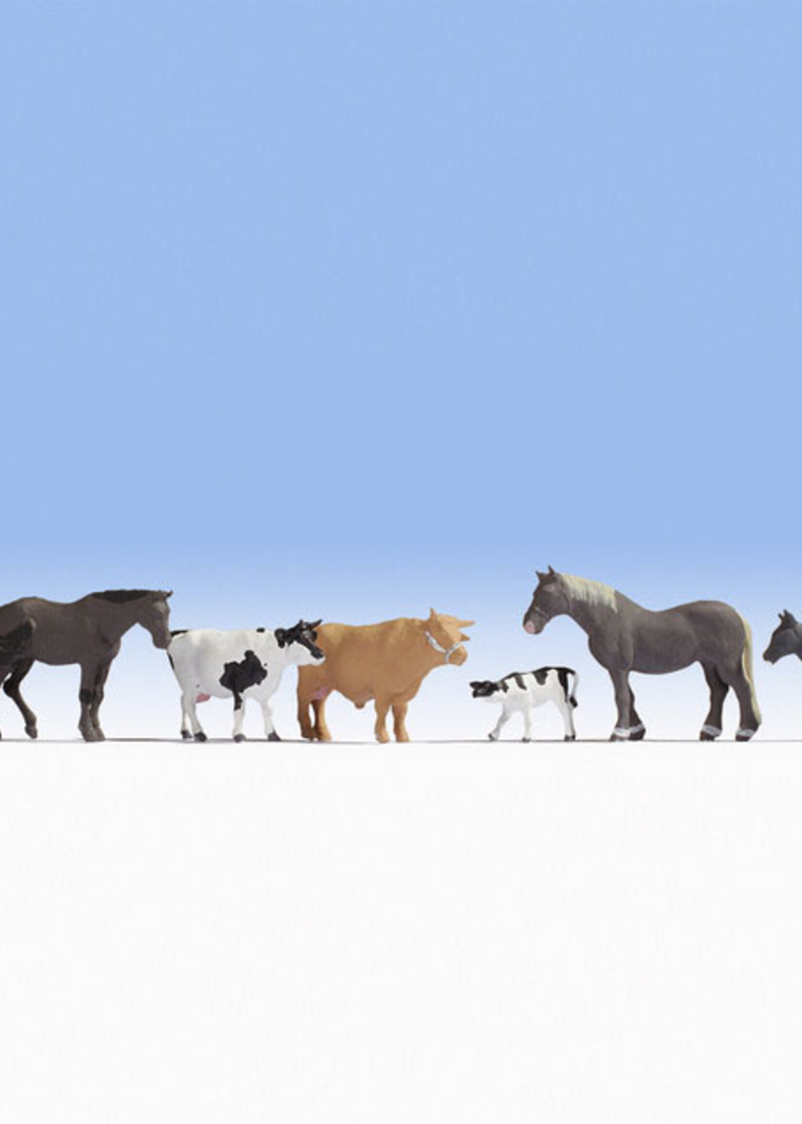 NOCH NOCH 36713 Tiere auf dem Bauernhof (N)