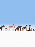 NOCH NOCH 36717 Hunde (N)