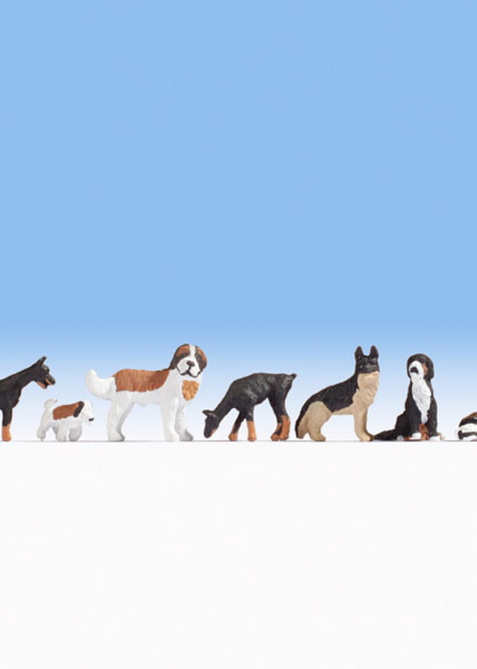 NOCH NOCH 36717 Hunde (N)