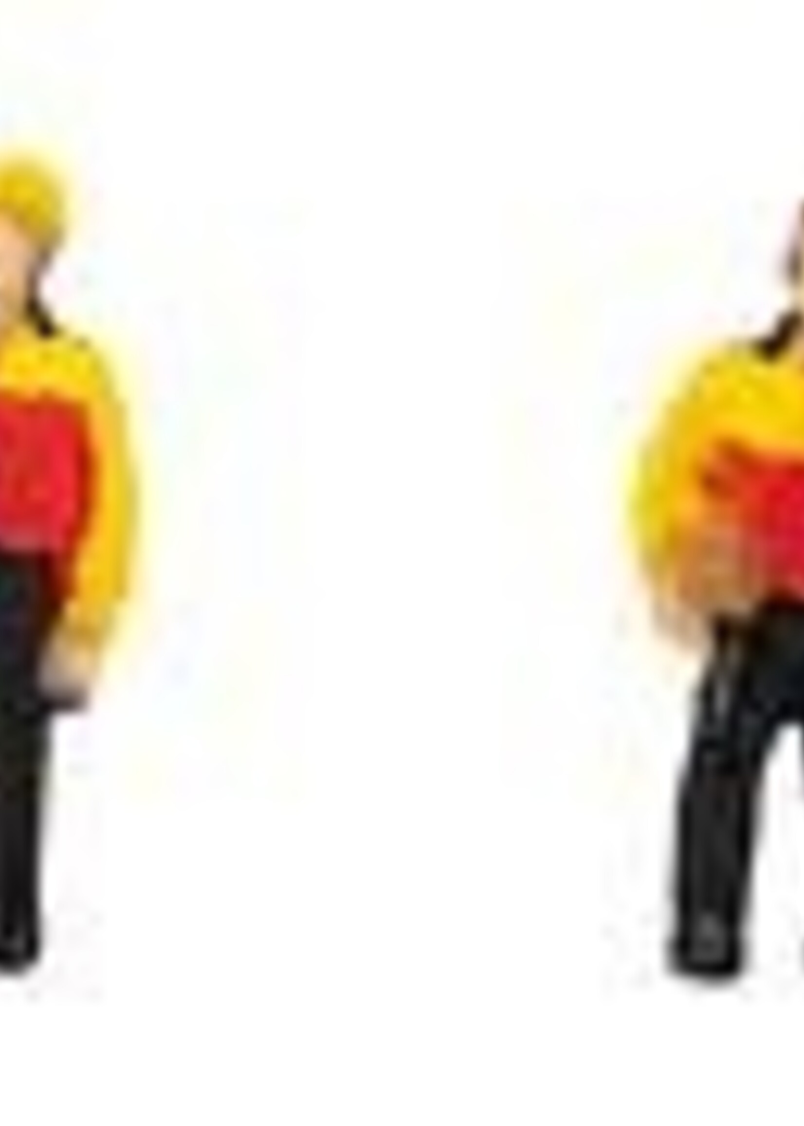 FALLER FALLER 155602 1/160 PAKKETDIENST