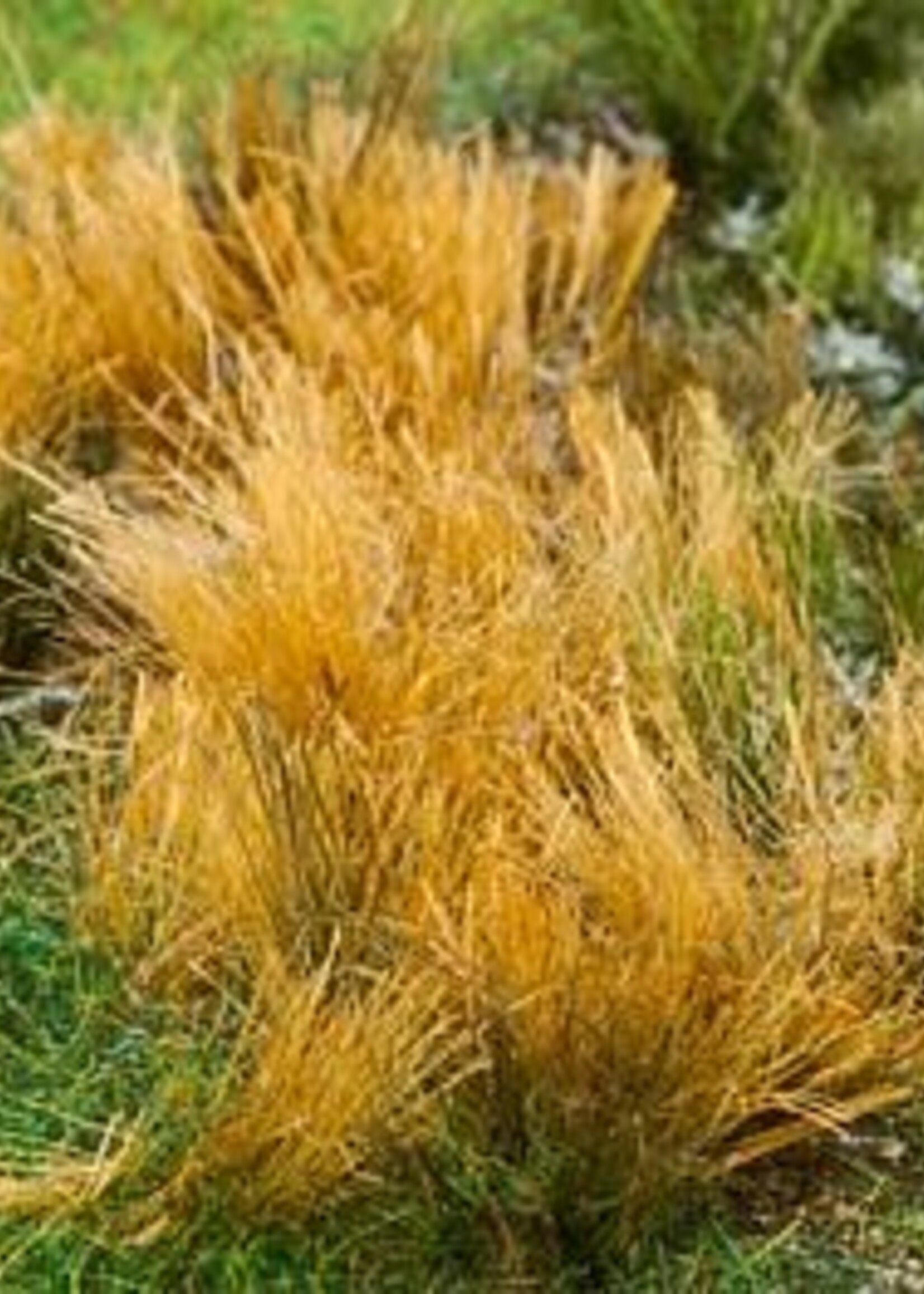 FALLER FALLER 170715 RIET BEIGE GEKLEURDE RIETBUNDEL 80 MM