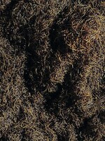 FALLER FALLER 170727 GRASVEZELS DONKERBRUIN 35 G