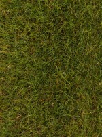 FALLER FALLER 170771 PREMIUM STROOIMATERIAAL VOORJAARSWEIDE 6 MM 30 G