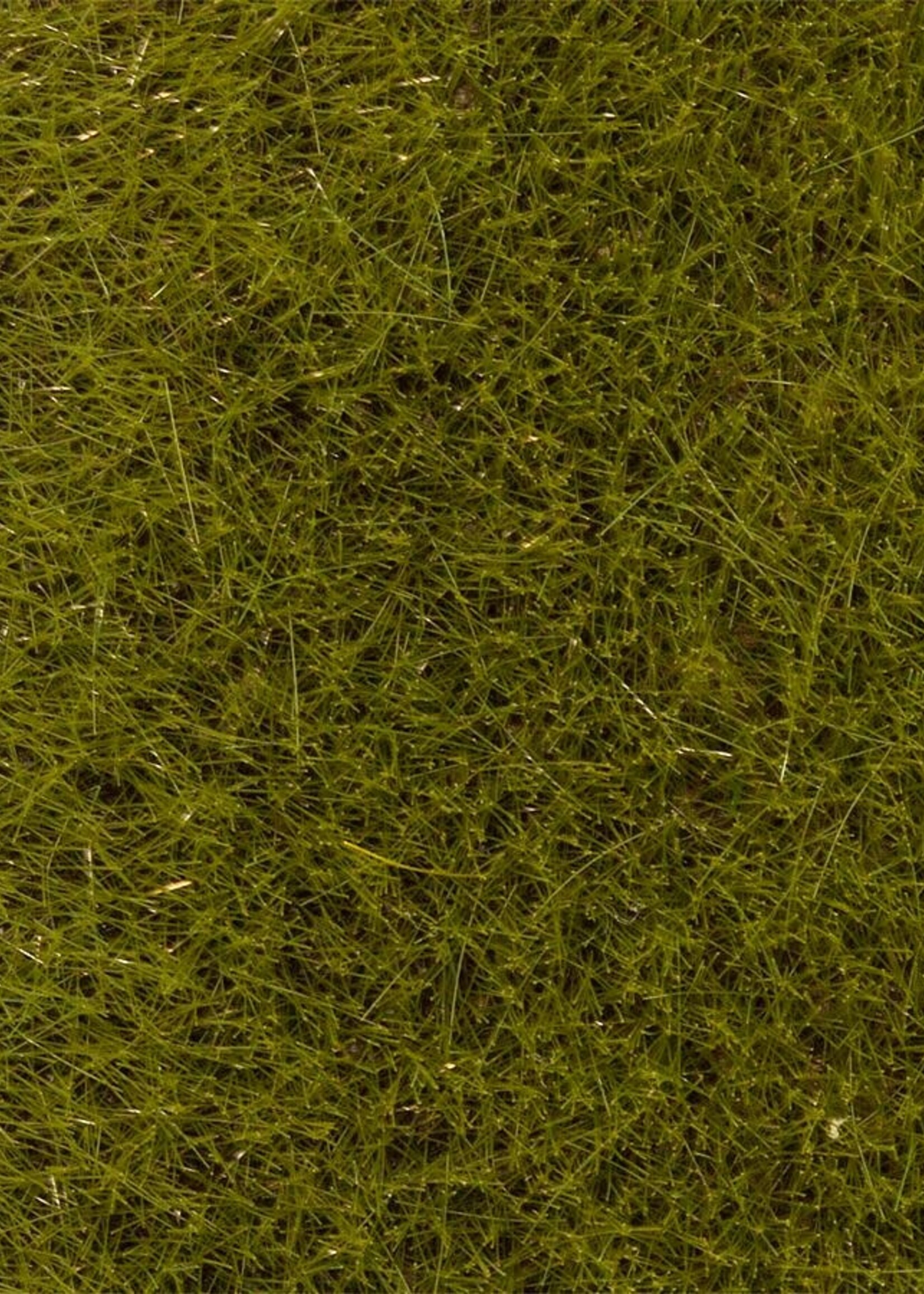 FALLER FALLER 170772 PREMIUM STROOIMATERIAAL VROEGE ZOMERWEIDE 6 MM 30 G