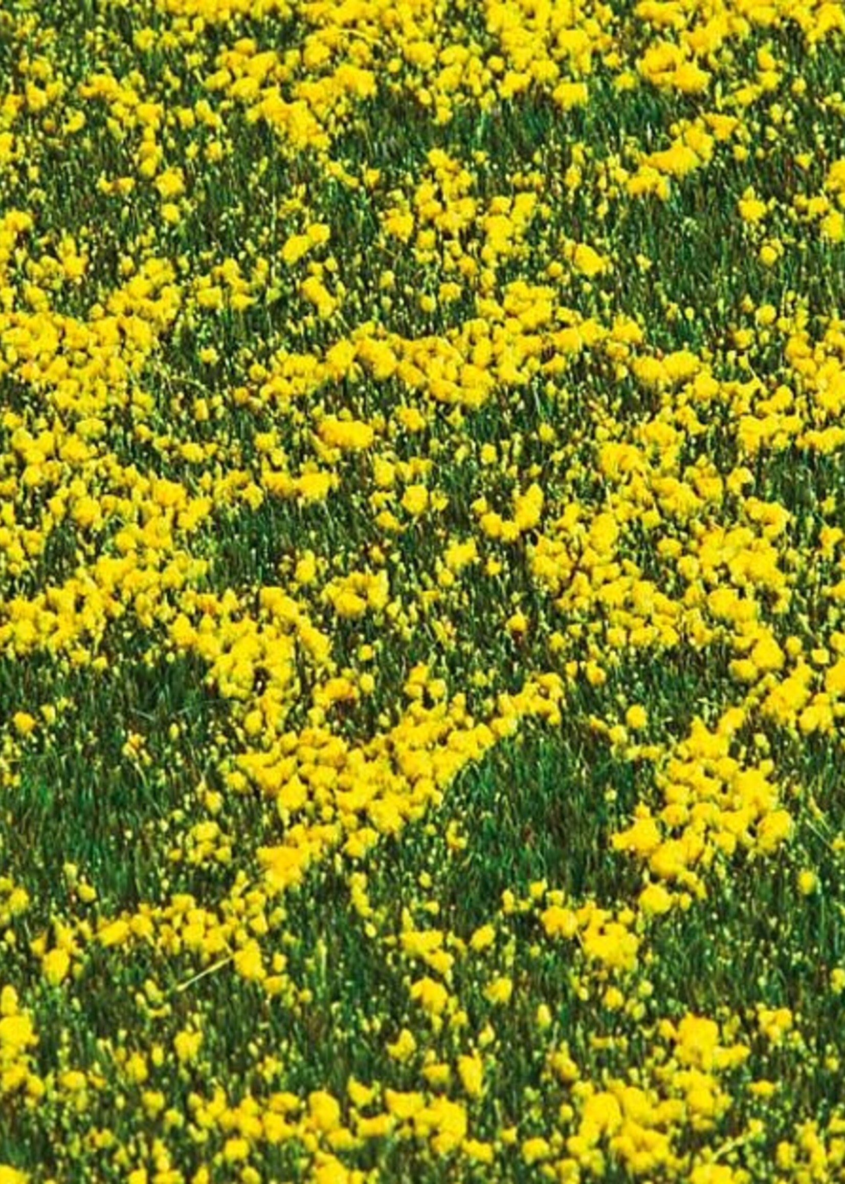 FALLER FALLER 180463 PREMIUM LANDSCHAPS-SEGMENT KOOLZAADVELD