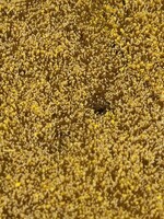 FALLER FALLER 180466 PREMIUM LANDSCHAPS-SEGMENT GRAANWEIDE