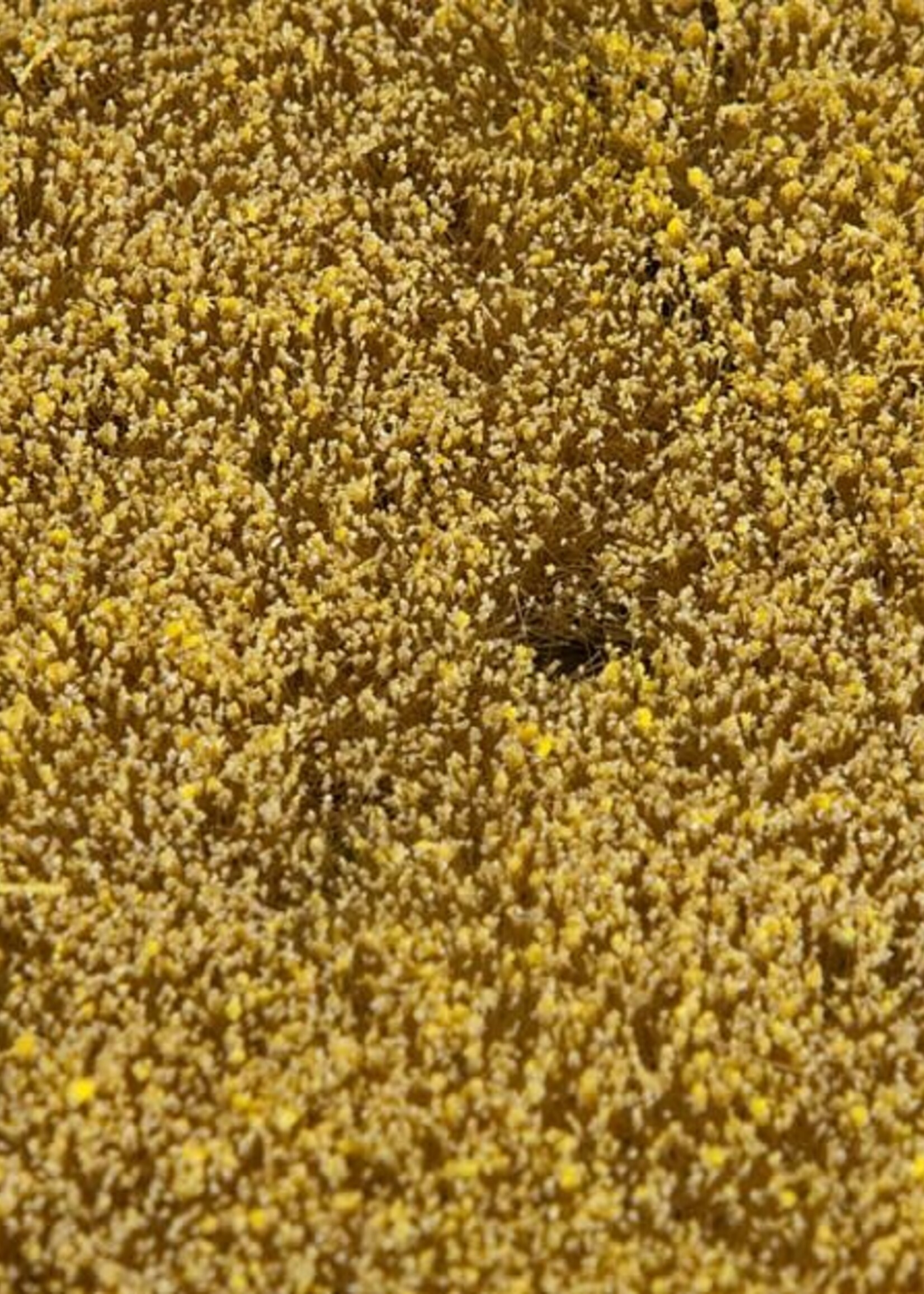 FALLER FALLER 180466 PREMIUM LANDSCHAPS-SEGMENT GRAANWEIDE