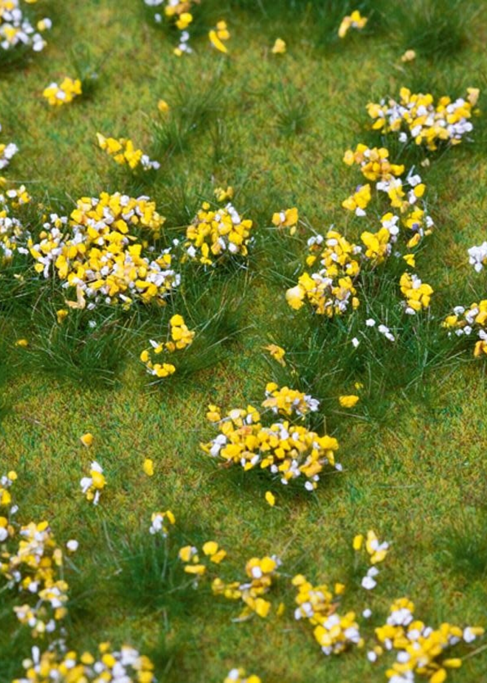 FALLER FALLER 180467 PREMIUM LANDSCHAPS-SEGMENT BLOEMENWEIDE GEKLEURD
