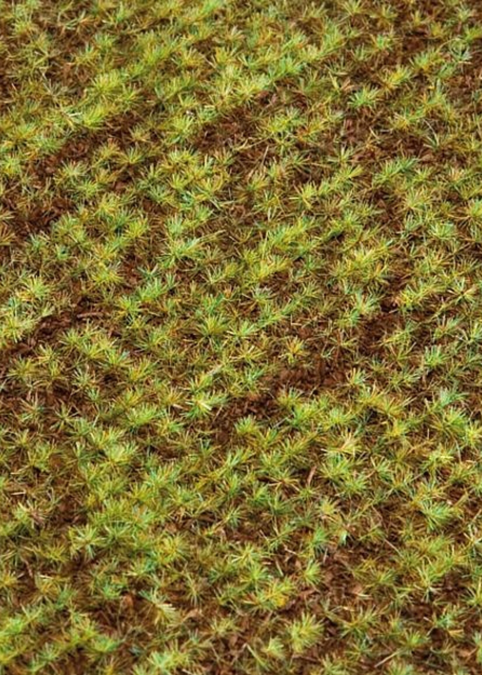 FALLER FALLER 180471 PREMIUM LANDSCHAPS-SEGMENT, AKKER