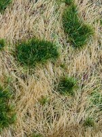FALLER FALLER 180474 PREMIUM LANDSCHAPS-SEGMENT SPOORDIJK/TALUD