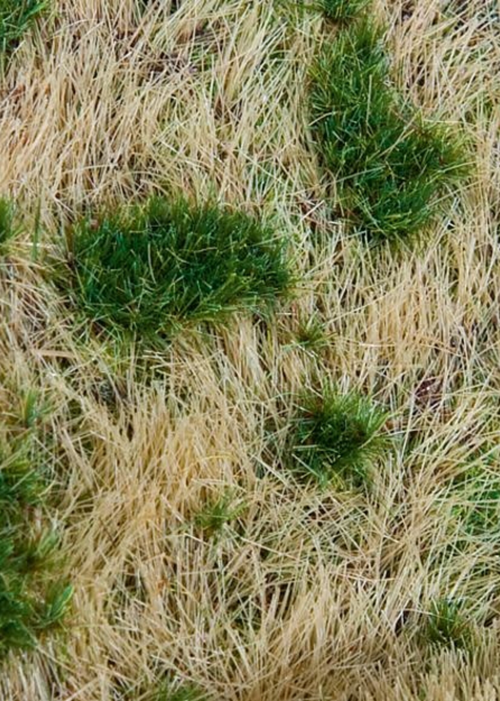 FALLER FALLER 180474 PREMIUM LANDSCHAPS-SEGMENT SPOORDIJK/TALUD