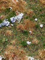 FALLER FALLER 180475 PREMIUM LANDSCHAPS-SEGMENT BOSBODEM