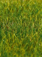FALLER FALLER 180485 PREMIUM STROOIMATERIAAL GRAS DONKERGROEN 6 MM 30 G