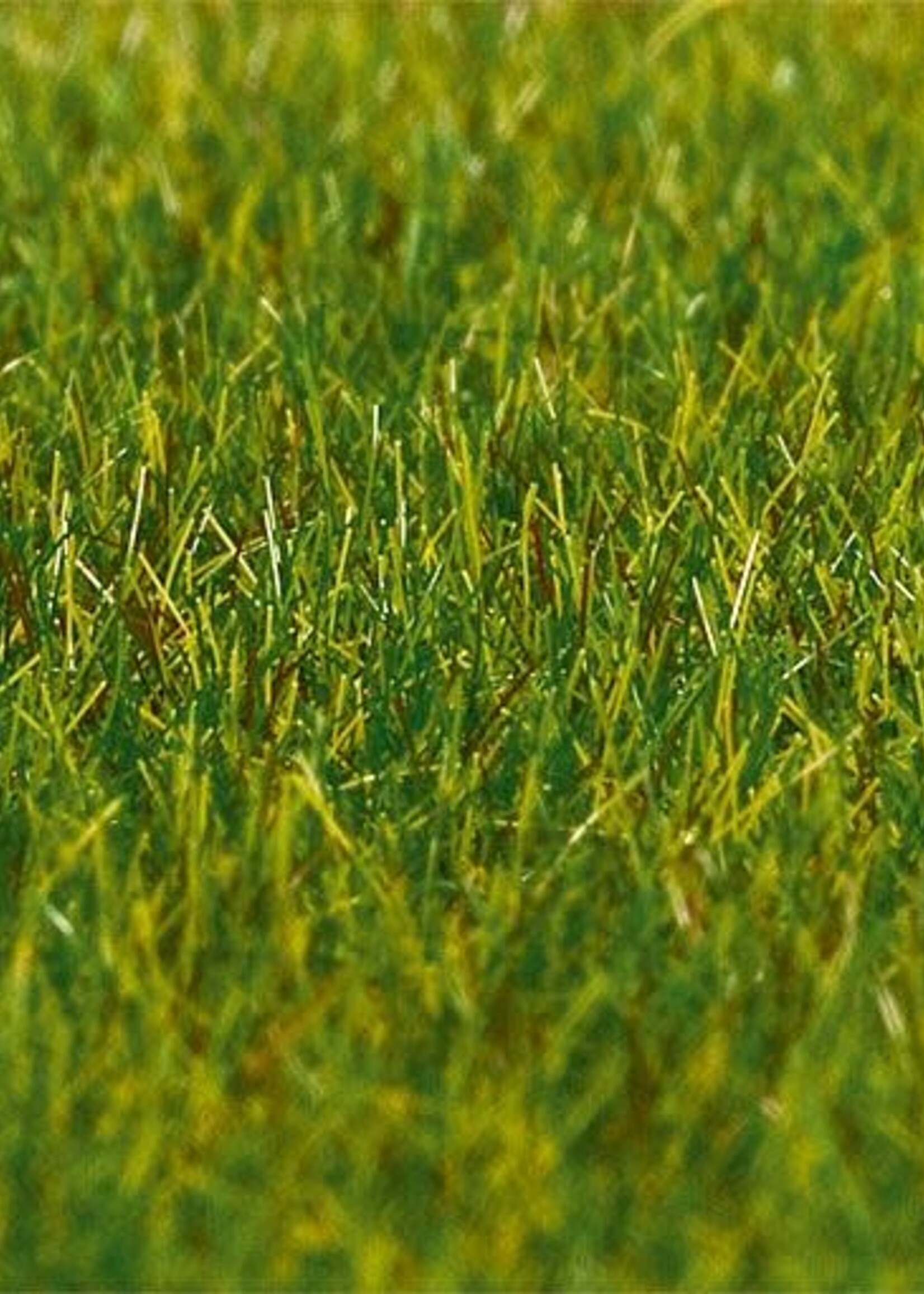 FALLER FALLER 180485 PREMIUM STROOIMATERIAAL GRAS DONKERGROEN 6 MM 30 G