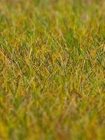 FALLER FALLER 180484 PREMIUM STROOIMATERIAAL WEI LICHTGROEN 6 MM 30 G