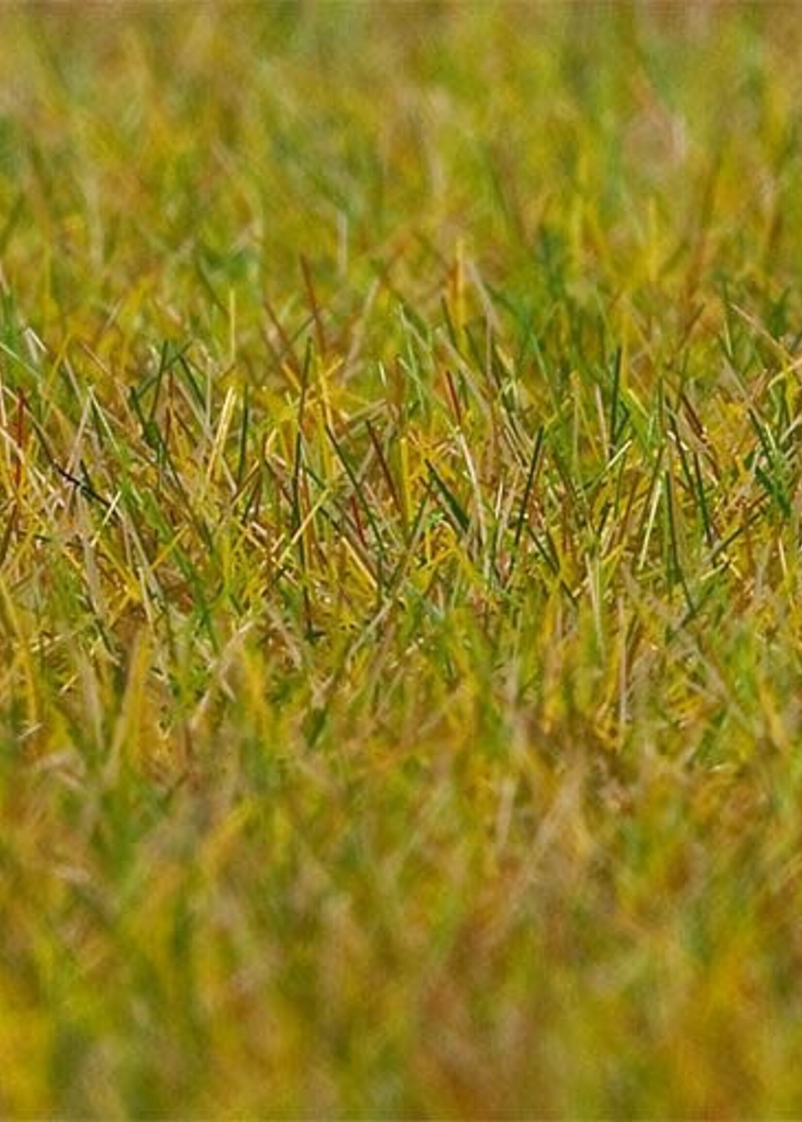 FALLER FALLER 180484 PREMIUM STROOIMATERIAAL WEI LICHTGROEN 6 MM 30 G