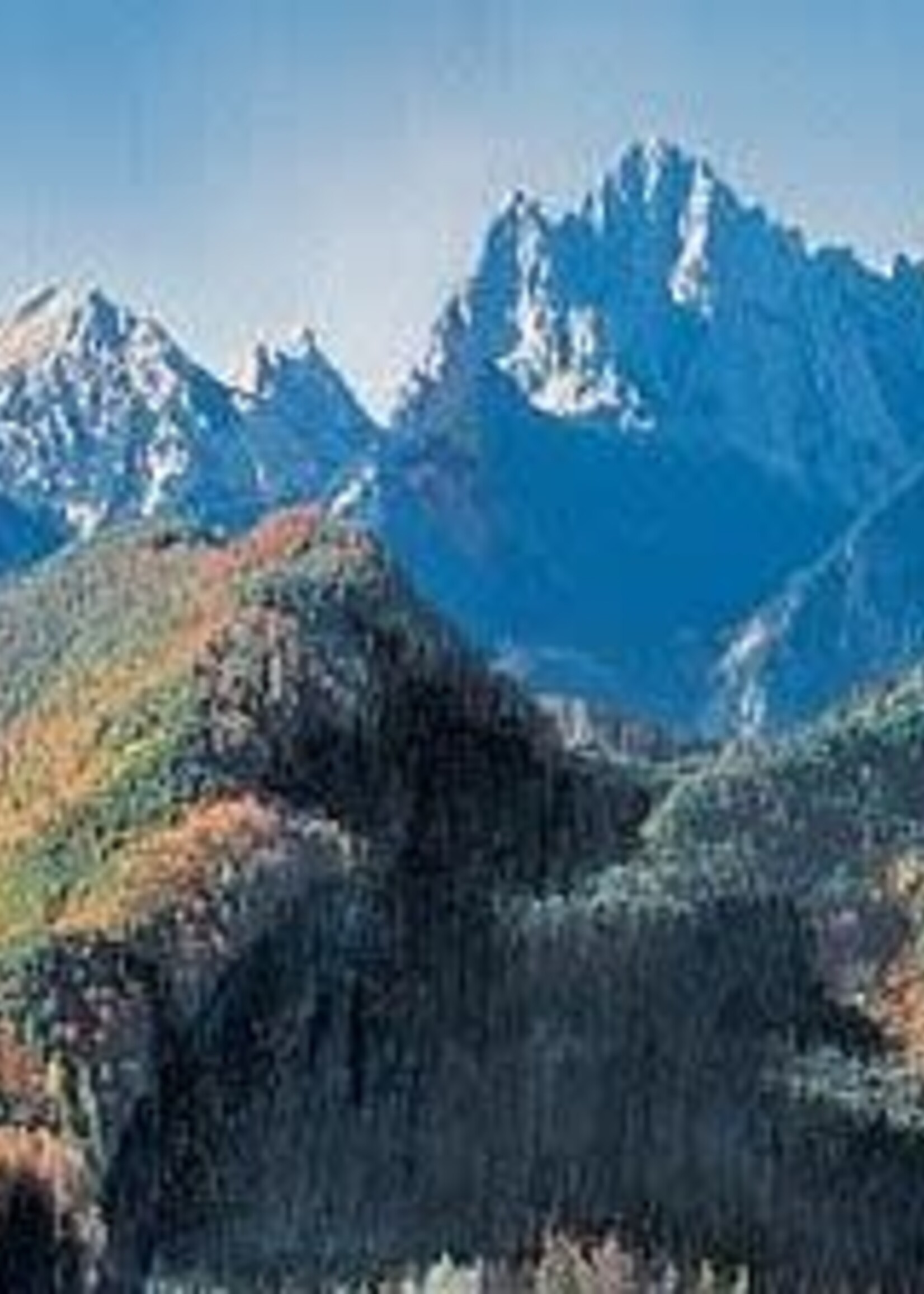 FALLER FALLER 180512 MODELACHTERGROND NEUSCHWANSTEIN