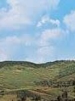 FALLER FALLER 180515 MODELACHTERGROND LÖWENSTEIN/WÜRTTEMBERG