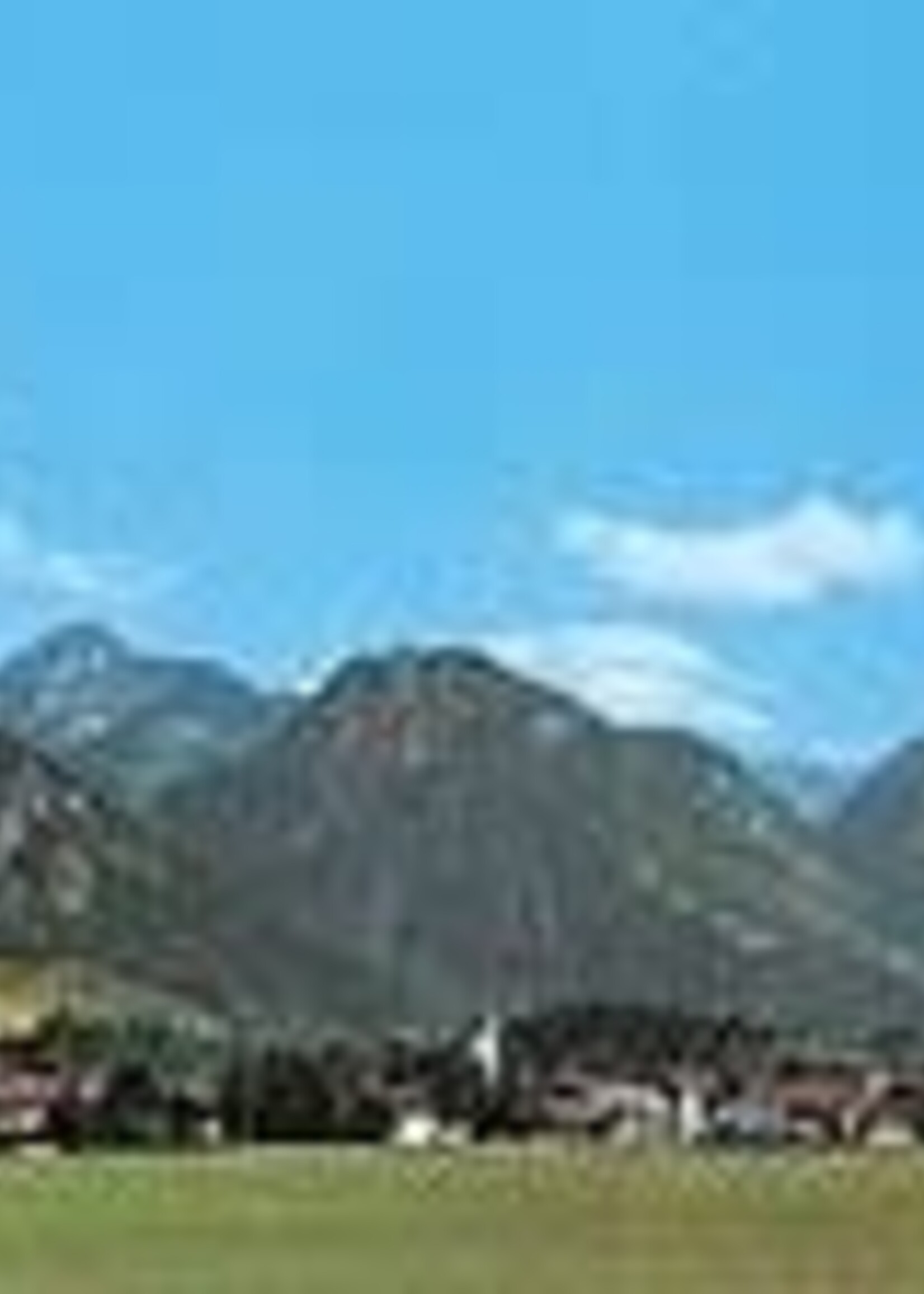 FALLER FALLER 180516 MODELACHTERGROND OBERSTDORF