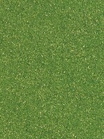 BUSCH 7042 STREUPULVER,FEIN MAIGRÃœN
