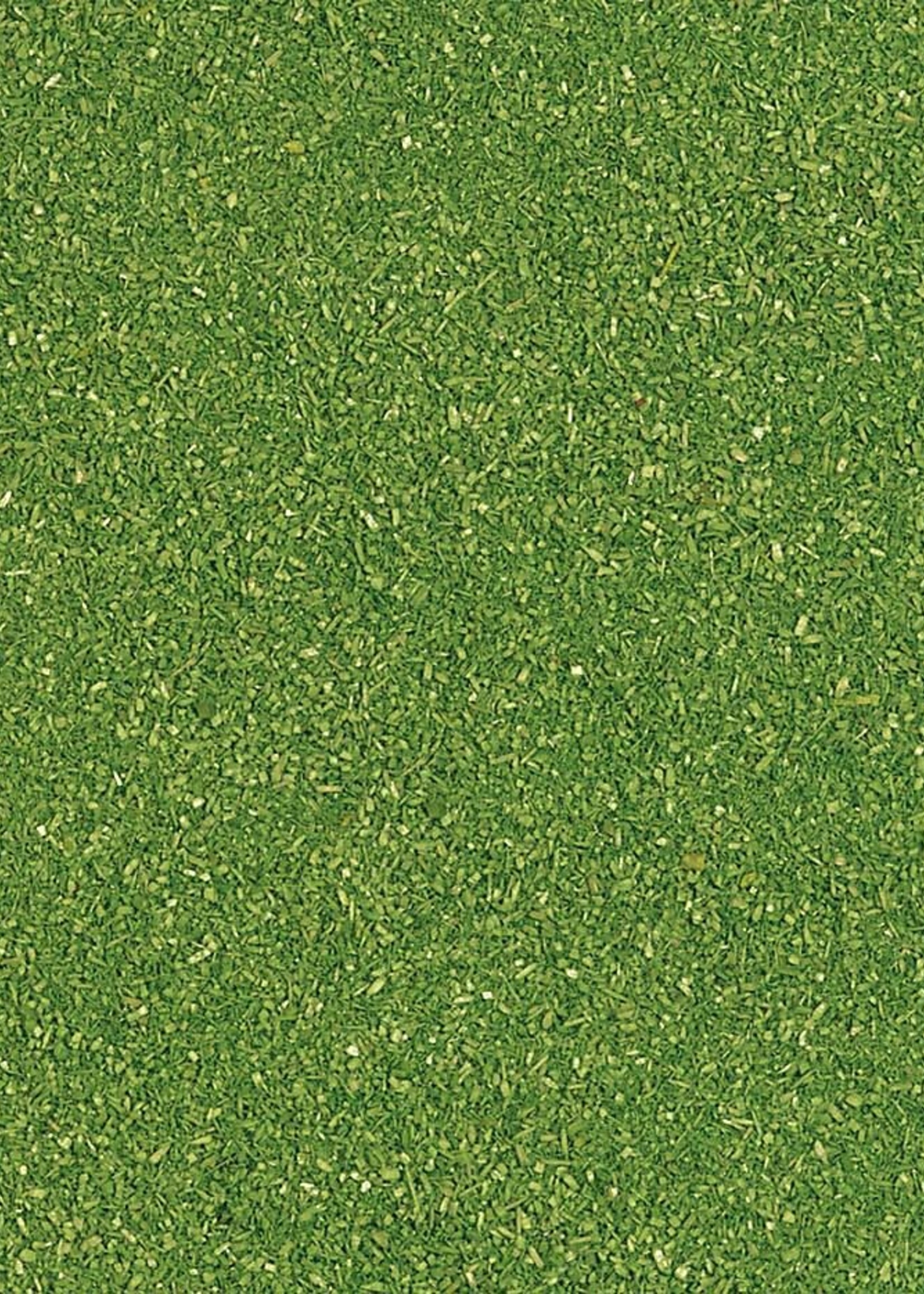 BUSCH BUSCH 7042 STREUPULVER,FEIN MAIGRÜN