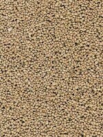 BUSCH 7061 SCHOTTER BEIGE ,GROB H0/N/TT