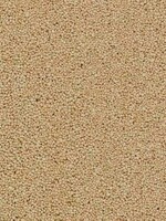 BUSCH 7060 SCHOTTER BEIGE H0/N/TT