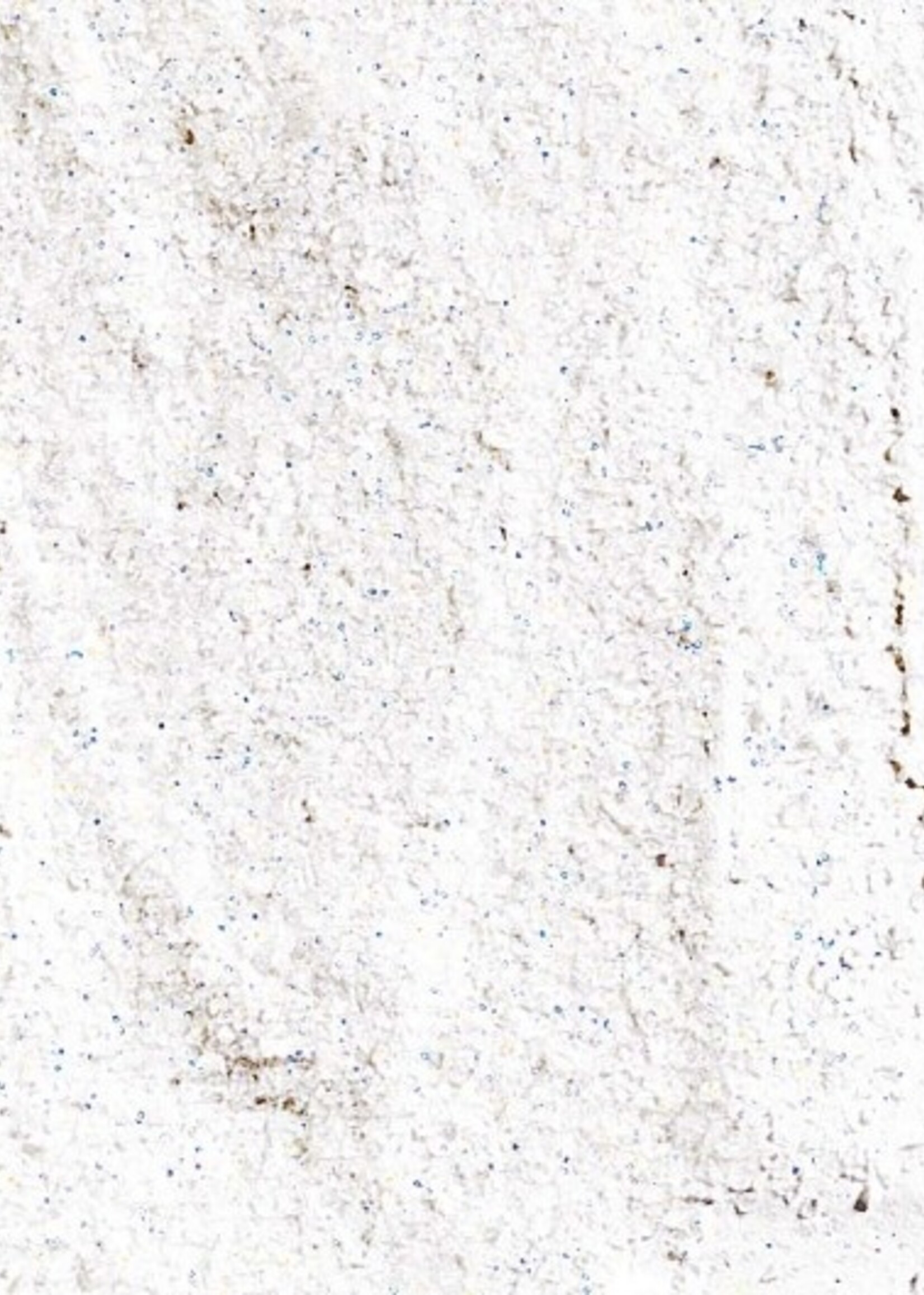 BUSCH BUSCH 7171 GLITZERNDER SCHNEE
