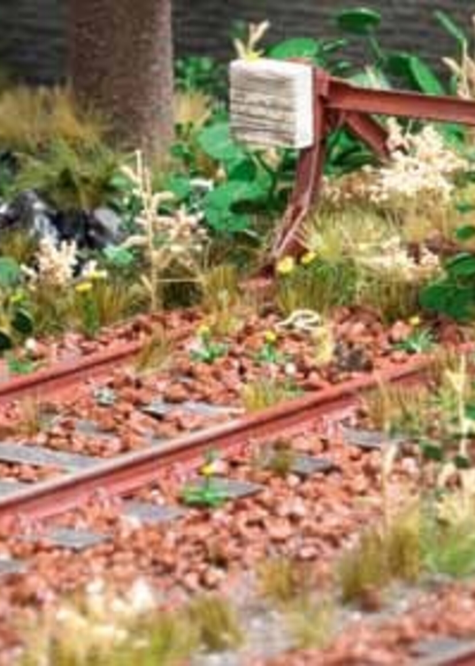 BUSCH 10500 SCHOTTER 0